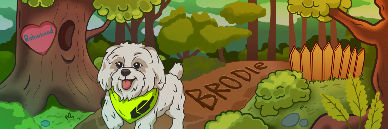 Brodie in the forest with neon bandana